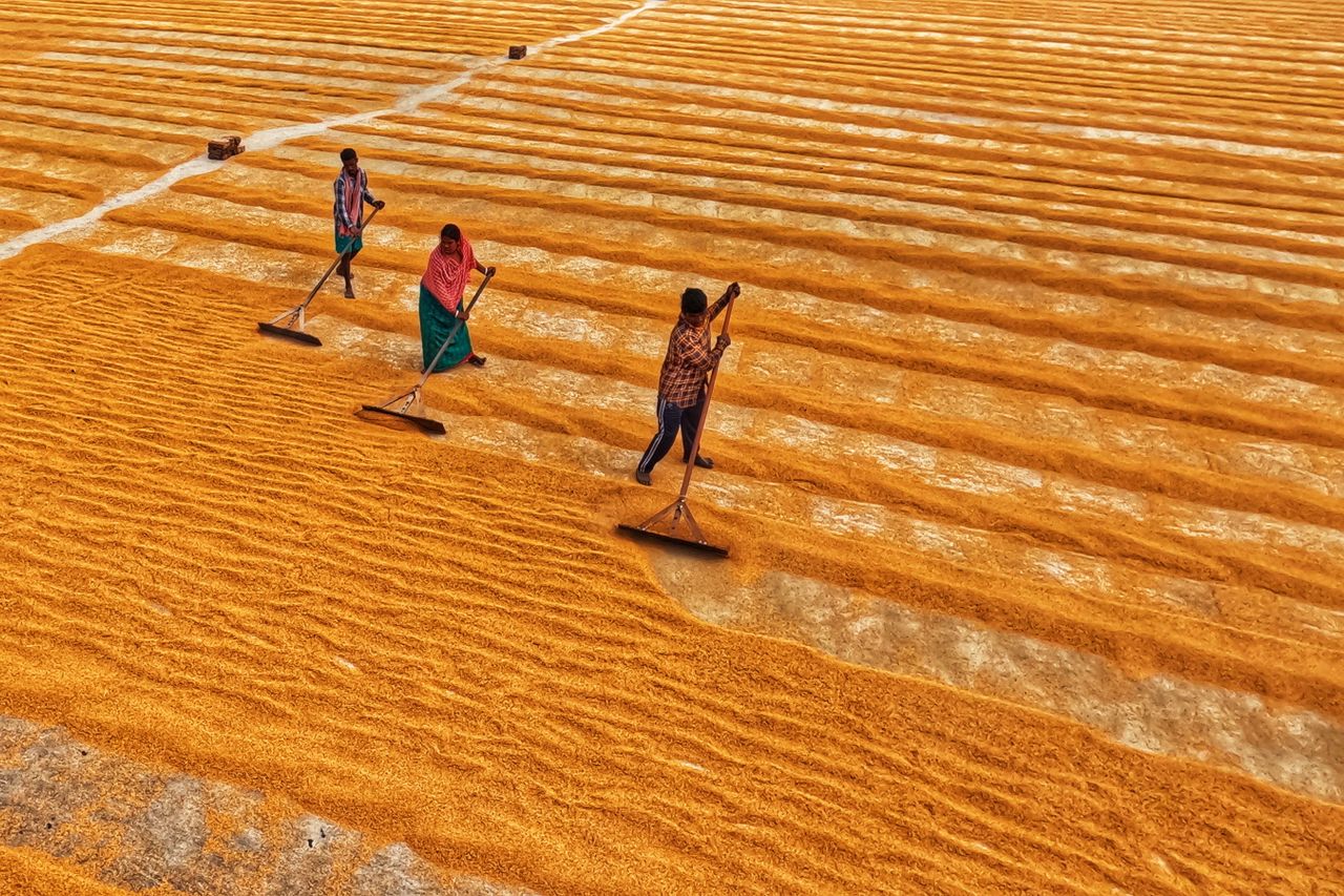 What Does "Zirai" Mean? A Complete Guide to Agricultural Income and Taxation