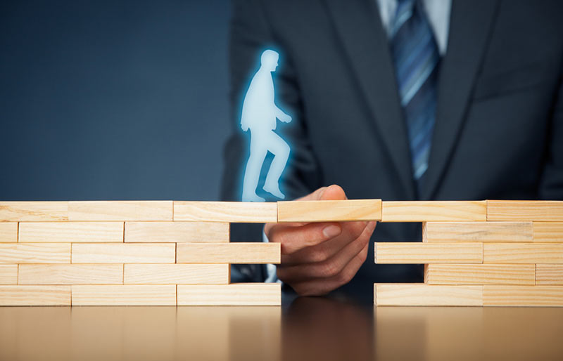 Limited Liability Company LLC Formation