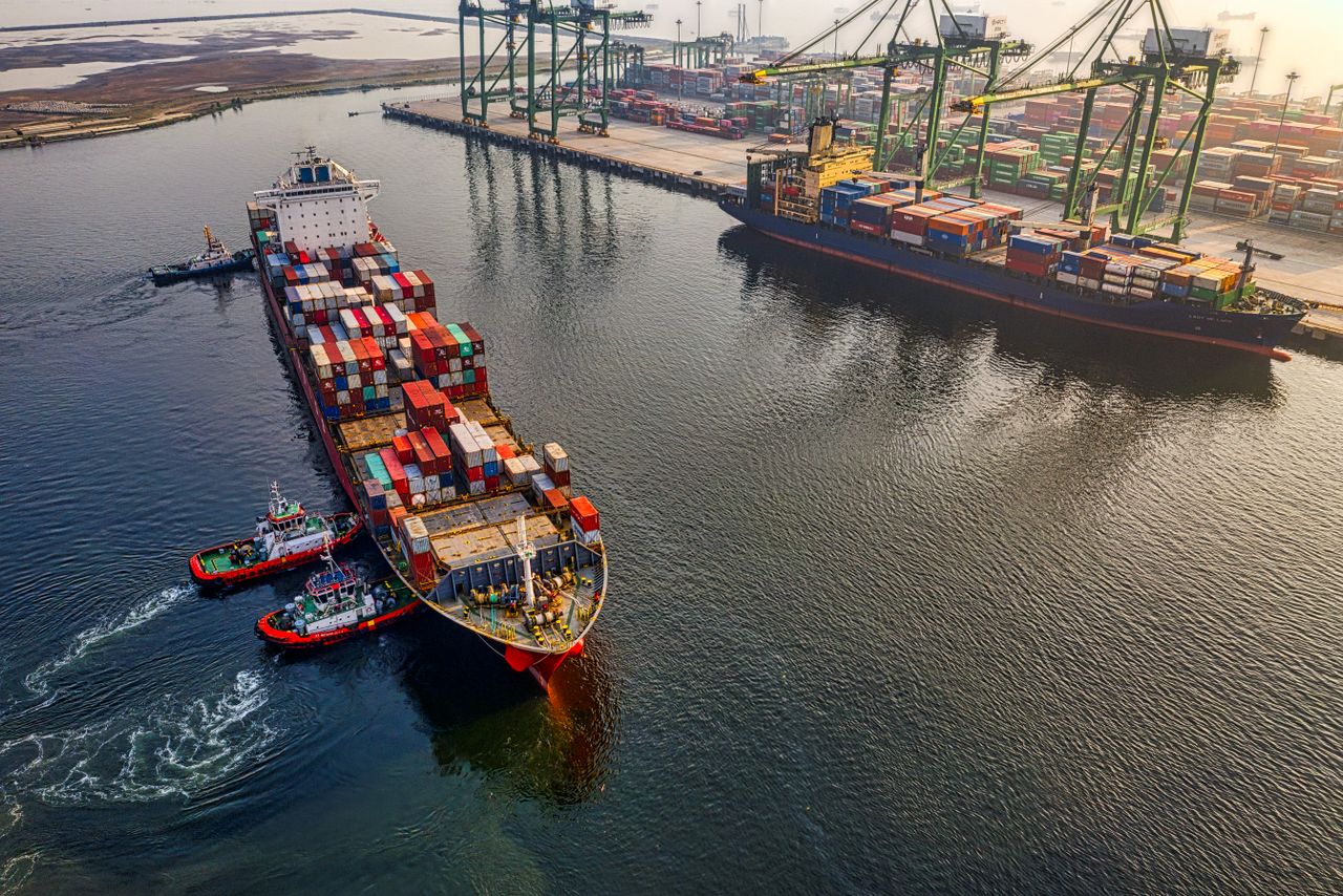 Import Export Consultancy